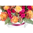 Box oranžových růží